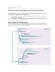 1. phylum: firmicutes - Fermentation-SN