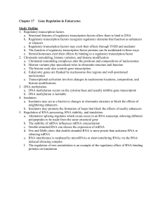 Chapter 17 - Gene Regulation in Eukaryotes