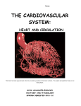 svhs advanced biology cardiovascular system