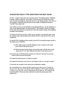 suggested essay-type questions for next exam