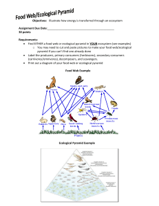 Food web check point