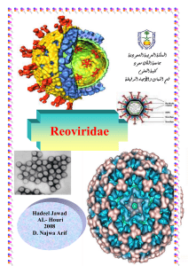 Reoviruses - KSU Faculty Member websites