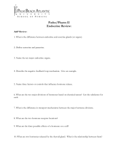 03-Endocrine-Review