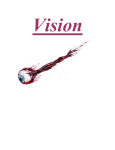 4 Vision The human eye