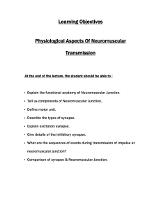 Physiological Aspects Of Neuromuscular Transmission