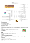 B2_3_enzymes_crosswo..
