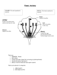 BIODIVERSITY OF PLANTS