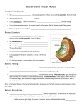 Bacteria and Viruses Notes Review: Archaebacteria • Are