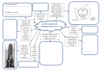 Animal Transport and Exchange Systems