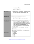 Parts of a Plant Lesson Plan