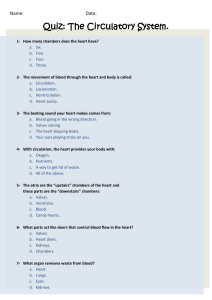 Quiz: The Circulatory System. - year22011-2012