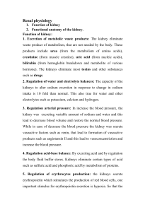 Functional anatomy of the kidney