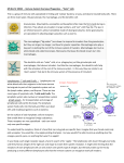 M5 Bio SC 30242 -- Immune System Overview Phagocytes – “Eater