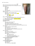 Compensatory Mechanisms Loss of vasomotor tone Leaky capillaries