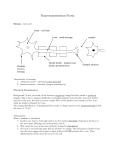 Neurotransmission Notes