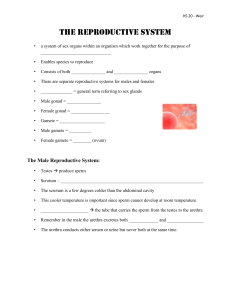 Illnesses of the Female Reproductive System