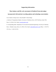 Supporting Information Mass balance and life cycle