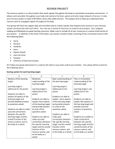 Scoring Rubric