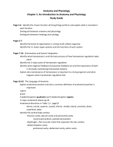 An Introduction to Anatomy and Physiology Study Guide