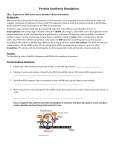 Protein Synthesis Simulation