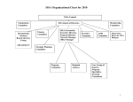 Annex VIII ISSA Organizational Chart 2010