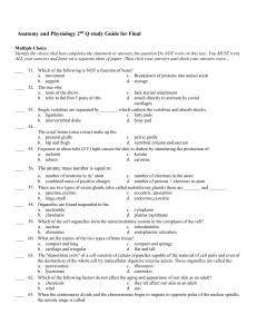 Anatomy and Physiology 2 nd Q study Guide for