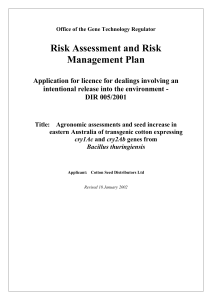 6. risk management plan