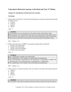 Fehrenbach: Illustrated Anatomy of the Head and Neck