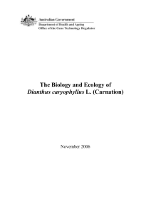 The Biology and Ecology of Carnations November 2006