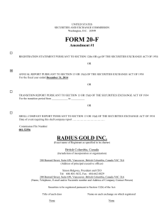 RADIUS GOLD INC. (Form: 20-F/A, Received: 11/04