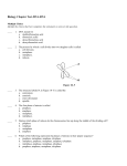 Biology Chapter Test-DNA-RNA Answer Section