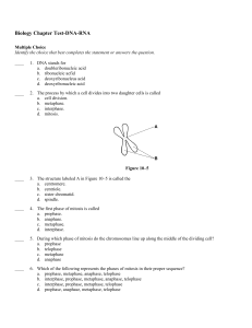 Biology Chapter Test-DNA-RNA Answer Section