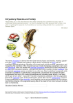 Chrysoberyl Species and Variety