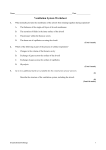 Ventilation System Worksheet