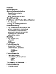 Protist Diversity