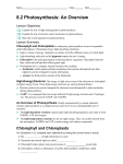 8.2 Photosynthesis