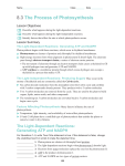 The Light-Dependent Reactions: Generating ATP