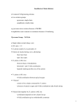 Inosilicates (Chain silicates)