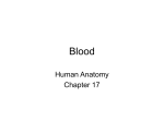 Chapter 17- Blood - El Camino College