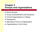 Chapter 5 Groups and organizations
