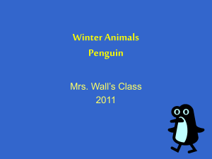 Penguins - Bridgeton Second Grade