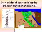 Egyptian 5 updated File