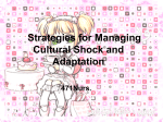 Strategies for Managing Cultural Shock and Adaptation 471Nurs.