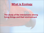 What is Ecology - Effingham County Schools