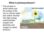4.2 Overview of Photosynthesis TEKS 4B, 9B