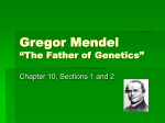 Gregor Mendel “The Father of Genetics”