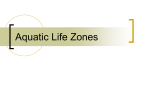 Aquatic Life Zones