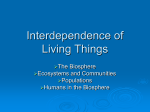 Interdependence of Living Things Unit