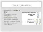 DNA Replication