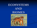 ECOSYSTEMS AND BIOMES